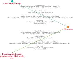 Network Based Analysis Of Diagnosis Progression Patterns Using Claims Data Scientific Reports