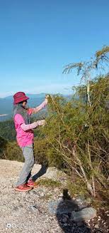 Lalu tangan kananku menarik bra agak ke atas ke leher resty, sehingga terpampang dua gunung kembar. Frim Frim Jalankan Inventori Cucur Atap Untuk Facebook