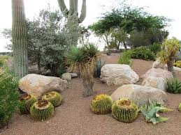 8 Steps To Diy Xeriscape Landscape Design Xeriscape Landscaping Succulent Landscape Design Rock Garden Design
