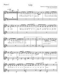 Gain de temps et économie d'argent. Lily Pierre Perret Divertissement General