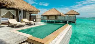 Located on a beautiful private island with pristine beaches and lush tropical greenery, ayada maldives offers a truly luxurious honeymoon destination with a genuine maldivian style. India And Maldives Itinerary A Five Star Honeymoon In India And The Maldives