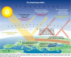 Image result for major sources of energy