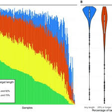 Image result for Physotrichia atropurpurea