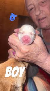 I need a recommendation for an electrician that's familiar with home  generator systems. Thanks!!!