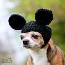 Pin By Cristine On Crochet Dog Hats Costumes Crochet Dog Hat Crochet Dog Dog Hat