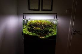 Nicrew led aquarium light, fish tank light with extendable brackets. Planted Aquarium Full Lighting Guide Aquariadise