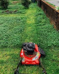 Gardener's supply is america's number one resource for gardening. Taylors Garden Services