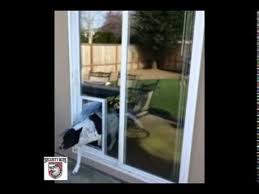 Using the already inherent weaker insulating section of maintaining the maxseal® door is simple and easy for any home owner. In Glass Security Boss Maxseal Pet Door Youtube