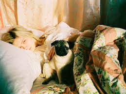 9 Reasons You Re Tired All The Time That Aren T Laziness