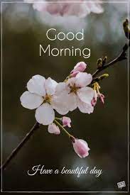 Fresh Inspirational Good Morning Quotes For The Day Get On The Right Track Part 4 Good Morning Thursday Images Good Morning Thursday Good Morning Tuesday