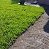 Check spelling or type a new query. Top 642 Trugreen Lawn Care Reviews