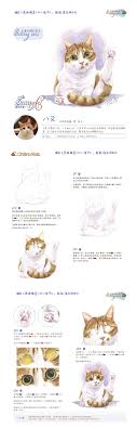舔毛的猫咪 来自胖墩儿jjfly的图片分享 堆糖 colorful drawings animal drawings color pencil drawing