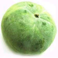 Healthy winter melon tea for the hot summer； i know that this summer drink might be slightly strange to you. Ooi S Flora Malaysiana Ver 1 0 Winter Melon Or 3 Cubehi02b Htm 2003