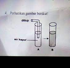 Cara membuat filter air kapur,filter air minum,filter air berkapur,filter air zat kapur,penyaring air berzat kapur,saringan air zat kapur. Percobaan Tersebut Membuktikan Bahwa Sebagai Alat Ekskresi Paru Paru Menghasilkana H2o Karena Brainly Co Id