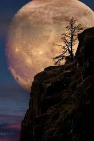 Supermoon With Lone Tree On Cliff Edge Lone Tree Amazing Art Painting Moon Art You will need photo editing software and the compositing skills required to edit your subject into this background. supermoon with lone tree on cliff edge