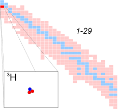 The number of daily growth plates correlates with a specific time. Tritium Wikipedia