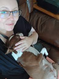 Need extra blankets for puppy crates?