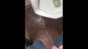 The movie has been watched by 272 visitors. Pissing All Over Public Bathroom Free Download Video And Watch