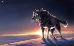 Anime wolf sketch at paintingvalley com explore collection of. Cool Anime Wolves Wallpapers Top Free Cool Anime Wolves Backgrounds Wallpaperaccess