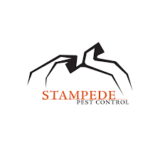 We provide pest control in dallas, tx services to homes and businesses. Full Service Locally Owned Pest Control Company Serving Houston And Dallas Texas All Natural Plant Based Products All Work Pest Control Pests Termite Control