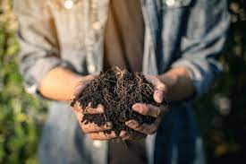 Add kitchen scraps and organic matter to your bin as needed, with a good mix of greens and browns. Compost Price How Much Is A Yard Of Compost