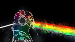 Wallpaper Night Neon Guitar Music Green Rainbows Skull And Bones Pink Floyd Prisma Light Color Darkness Computer Wallpaper 1920x1080 Prinz4miga 115885 Hd Wallpapers Wallhere Neon green wallpapers for free download. wallpaper night neon guitar music