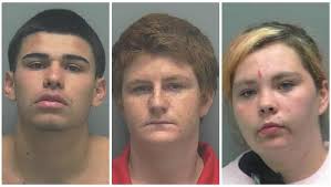 Facebook Fail: Posts lead to teen trio's arrest in Fort Myers home burglary