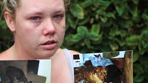 Death row dog owners ready to fight