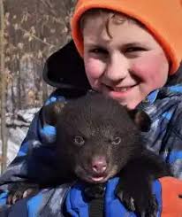 Black bear research ongoing in PA