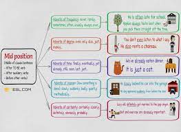 Adverbs of time modify a verb to tell when. let's think about when lucy skates, when the president dresses, and when charles pinckney served nightly now often someday soon then today. Position Of Adverbs Adverb Placement In Sentences 7esl