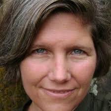 Plants Creative Landscapes