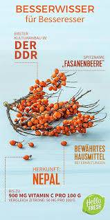 So Kannst Du Deine Abwehrkrafte Starken Hellofresh Blog Ernahrung Besserwisser Gesund Und Munter