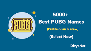 You can always make one to reflect your username or whatever, but thats no fun. 20 000 Pubg Names Unique Cool Clan Names Stylish Funny
