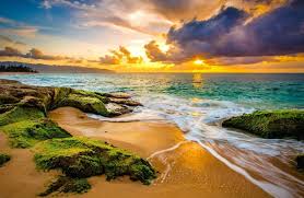 Best love quotes 2019 all the best and top rated love quotes is here diffrent diffrent types of love quotes for him/her lets boost your love. 200 Best Hawaii Quotes For Your Aloha State Adventure In 2021 The Wanderlust Within