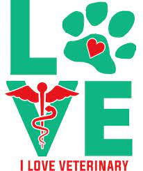 College grad veterinary gifts near me : 310 Veterinary Graduation Gifts Ideas Veterinary Technician Veterinary Nursing Students