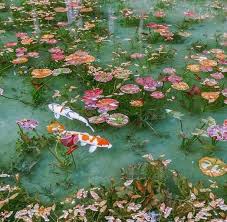 Who doesn't love a white aesthetic? For You Aesthetics On Instagram We Really Want A Pond With Fish Someday Co Art Collage Wall Wall Collage Fairy Aesthetic