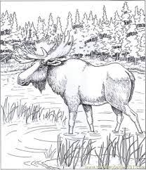 Christmas moose coloring page christmas coloring sheets. Alaskan Moose Coloring Page For Kids Free Mouse Printable Coloring Pages Online For Kids Coloringpages101 Com Coloring Pages For Kids