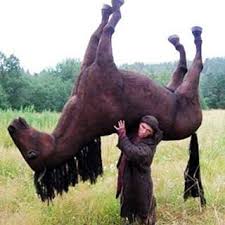 Caitlyn And Adele Randompictureeverydayy Instagram Photos And Videos Dark Humour Memes Funny Memes Cursed Images