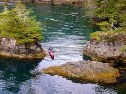 Maybe you would like to learn more about one of these? Orca Island Cabins Stay And Kayak On A Private Island Alaska Org