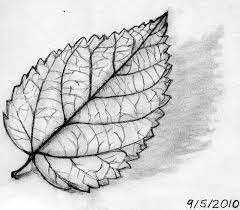 Pin On Henna Tattoo Ideas