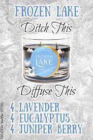 Bath And Body Works Candle Diffuser Blend Holiday Diffuser Blend In 2020 Diffuser Blends Christmas Diffuser Blends Oil Diffuser Blends