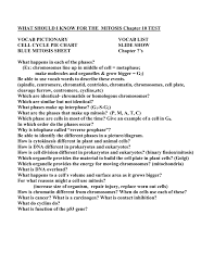 What Should I Know For The Mitosis 8 1 8 2 Test