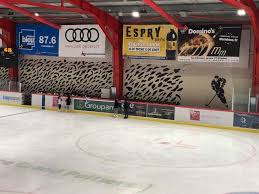 Maybe you would like to learn more about one of these? Ce Matin Passage De Lames Stade Poitevin Club De Glace Facebook