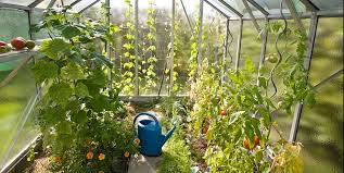 See more ideas about greenhouse, diy greenhouse, greenhouse plans. How To Build A Greenhouse Diy Greenhouse