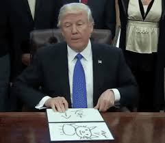 We did not find results for: 15 Of The Most Tremendous Donald Trump Memes Memebase Funny Memes