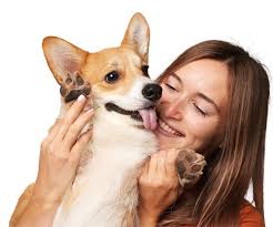 Veterinary Specialists in San Antonio, TX