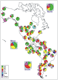 Genetic History Of Indigenous Peoples Of The Americas
