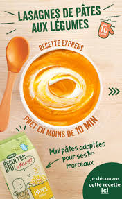 Lasagnes De Pates Aux Legumes Bledina Recette En 2020 Repas Pour Bebe Faits Maison Lasagnes Pates Aux Legumes