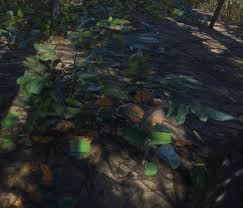 How deep you plant potatoes depends on what variety you are planting, what growing method you're using, and how often you plan on hilling. Potato Plant Stranded Deep Wiki Fandom