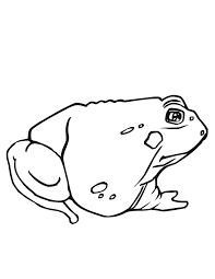 Feel free to print and color from the best 39+ toadette coloring page at getcolorings.com. Free Printable Toad Coloring Pages For Kids